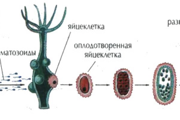Ссылка на кракен онион