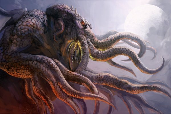 Kraken рабочий