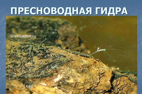 Кракен сайт at