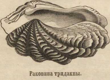 Кракен вход